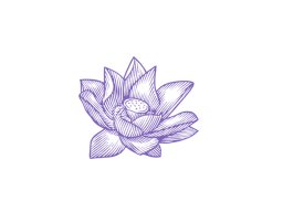 lotus art